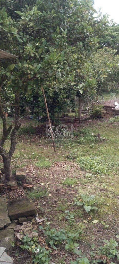 Casa à venda com 3 quartos, 80m², Estrada Extrema no bairro Extrema em Porto Alegre