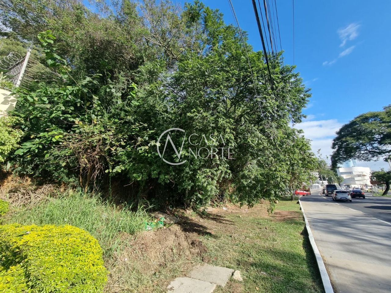 Terreno à venda  com 564m², Avenida Pinheiro Borda no bairro Cristal em Porto Alegre