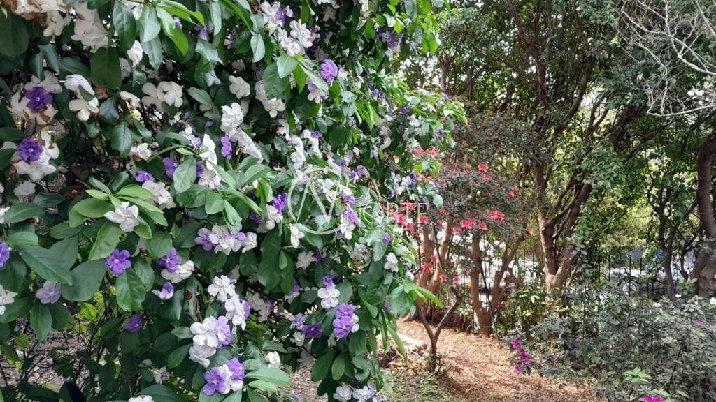 Casa à venda com 6 quartos, 570m², 6 vagas, Rua Santa Cecilia no bairro Santa Cecília em Porto Alegre
