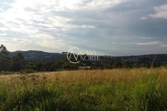 Terreno à venda  com 12000m², Estrada Cristiano Kraemer no bairro Vila Nova em Porto Alegre