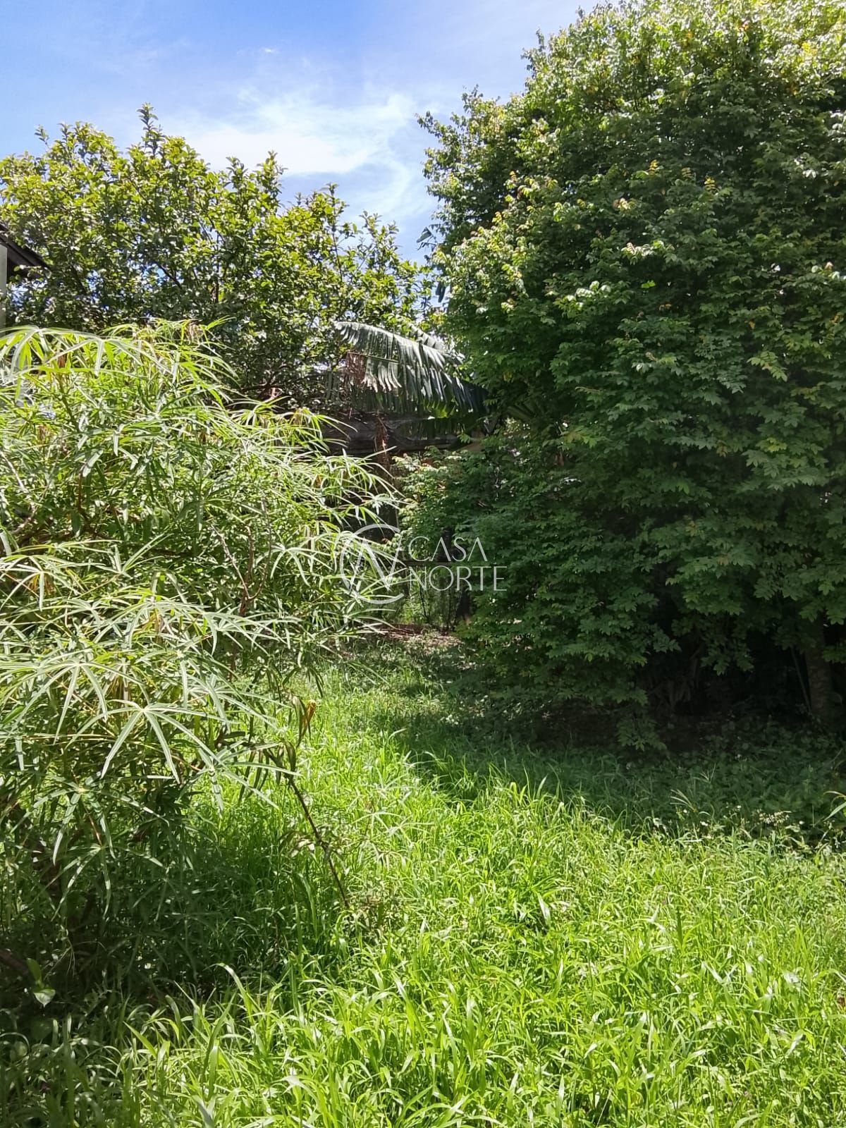 Terreno à venda  com 610m², Rua Dormenio no bairro Santa Tereza em Porto Alegre