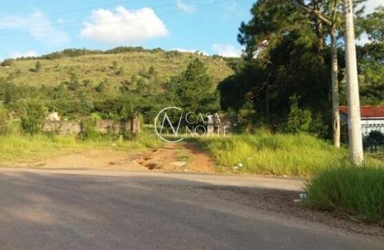 Terreno à venda  com 12000m², Estrada Cristiano Kraemer no bairro Vila Nova em Porto Alegre