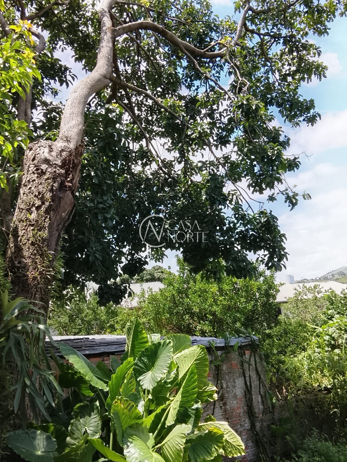 Terreno à venda  com 610m², Rua Dormenio no bairro Santa Tereza em Porto Alegre