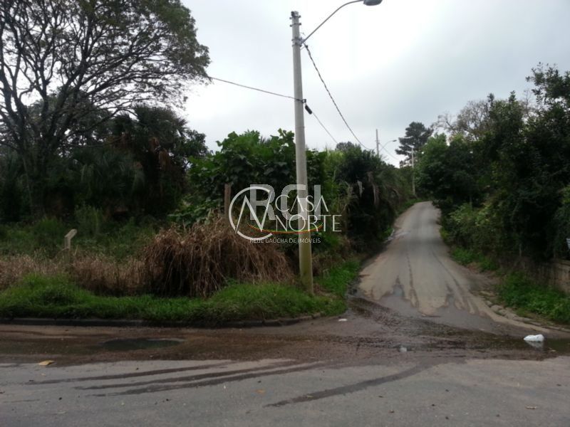 Terreno à venda , 6189m², Estrada das Três Meninas no bairro Vila Nova em Porto Alegre