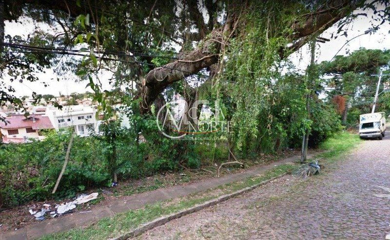 Terreno à venda , 326m², Rua Moema no bairro Chácara das Pedras em Porto Alegre