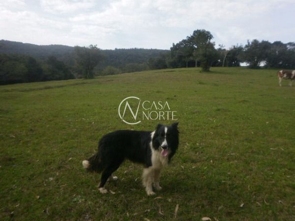 Sítio à venda com 3 quartos, 120000m², Estrada José Cardoso da Costa no bairro Lami em Porto Alegre