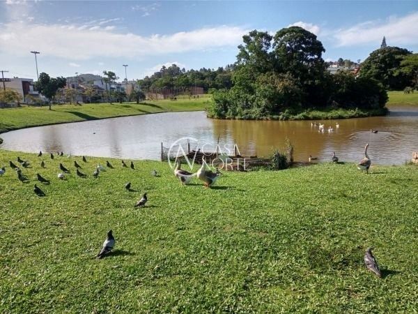 Terreno à venda  com 175m², Rua Affonso Lunardelli no bairro Hípica em Porto Alegre