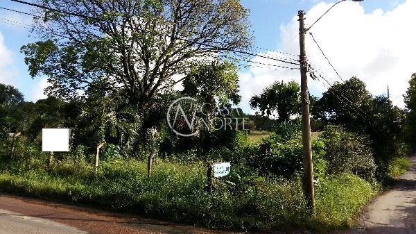 Terreno à venda  com 5000m², Estrada das Três Meninas no bairro Vila Nova em Porto Alegre