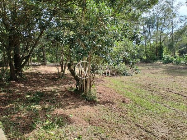 Sítio à venda , 6120m², Rua Adão Martins da Rocha no bairro São Caetano em Porto Alegre