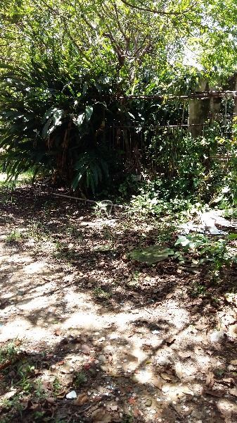 Terreno à venda  com 742m², Rua Intendente Alfredo Azevedo no bairro Glória em Porto Alegre