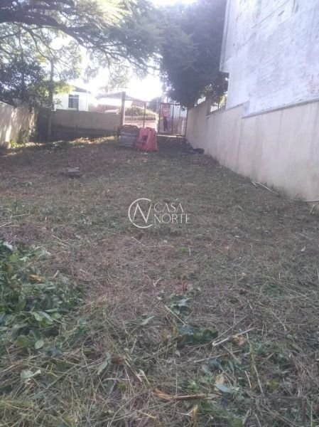 Terreno à venda  com 388m², Rua dos Coqueiros no bairro Espírito Santo em Porto Alegre