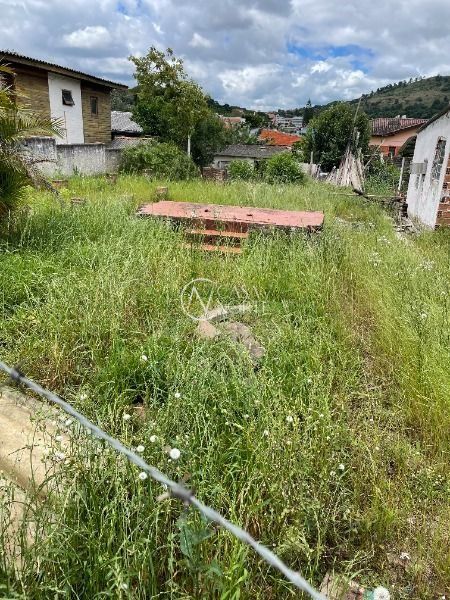 Terreno à venda  com 370m², Avenida da Serraria no bairro Espírito Santo em Porto Alegre