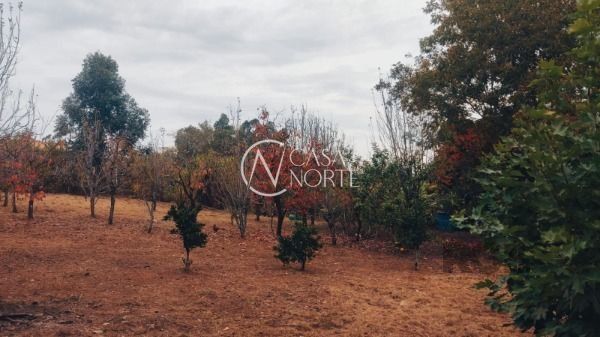 Terreno à venda  com 5081m², Beco dos Sargentos no bairro Restinga em Porto Alegre