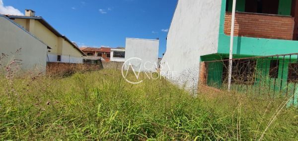Terreno à venda  com 150m², Rua Pedro da Silva Nava no bairro Aberta dos Morros em Porto Alegre