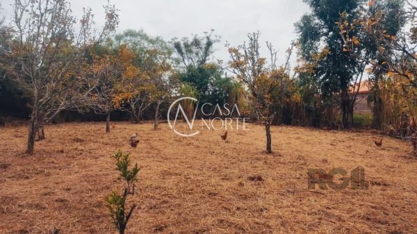 Terreno à venda  com 5081m², Beco dos Sargentos no bairro Restinga em Porto Alegre