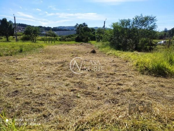 Terreno à venda  com 210m², Rua Jorge Oscar Gay da Fonseca no bairro Espírito Santo em Porto Alegre