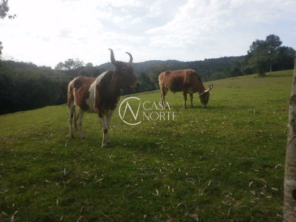 Sítio à venda com 3 quartos, 120000m², Estrada José Cardoso da Costa no bairro Lami em Porto Alegre