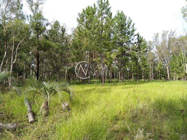 Terreno à venda  com 3500000m², Avenida João Antônio Silveira no bairro Lomba do Pinheiro em Porto Alegre