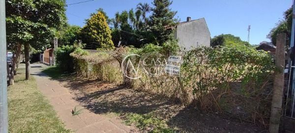 Terreno à venda  com 480m², Rua Doutor Pereira Neto no bairro Tristeza em Porto Alegre