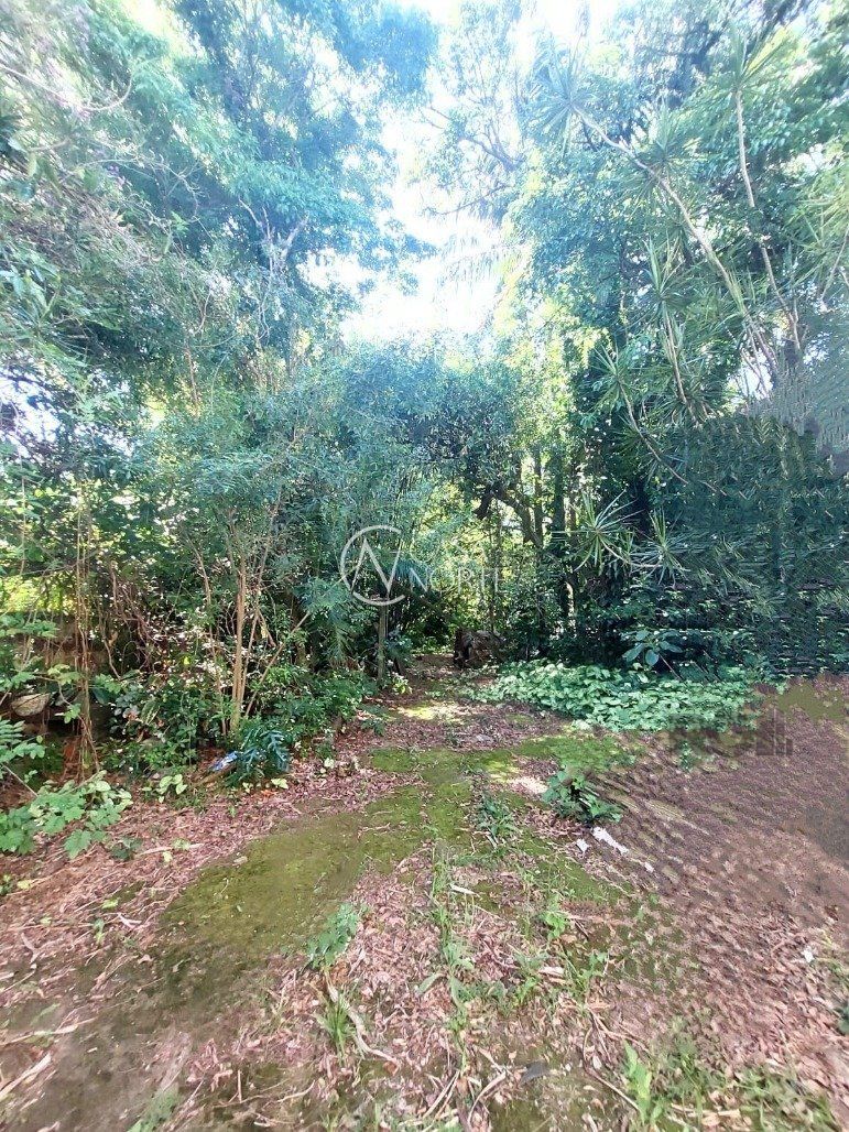 Terreno à venda  com 1597m², Rua Intendente Alfredo Azevedo no bairro Glória em Porto Alegre