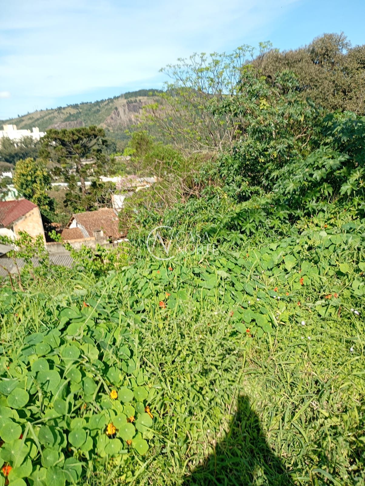 Terreno à venda  com 350m², Rua Salvador Fortis no bairro Jardim Carvalho em Porto Alegre