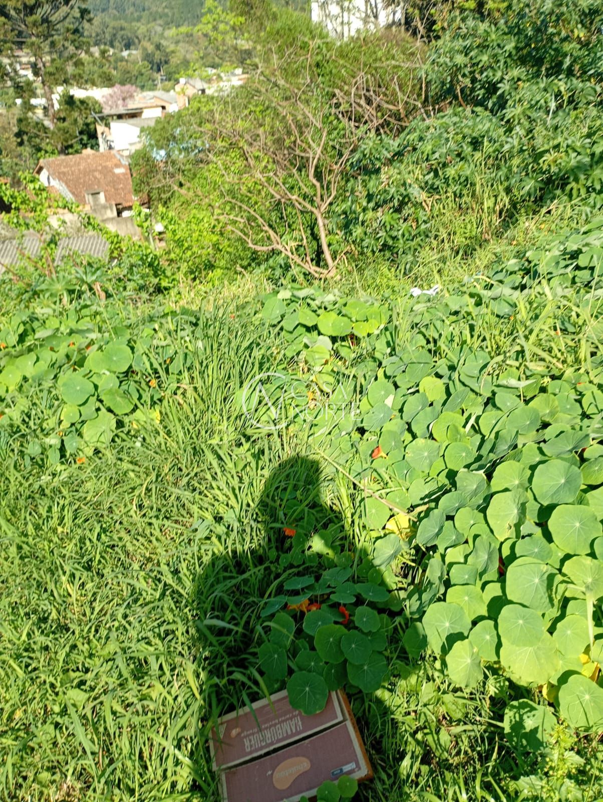 Terreno à venda  com 350m², Rua Salvador Fortis no bairro Jardim Carvalho em Porto Alegre