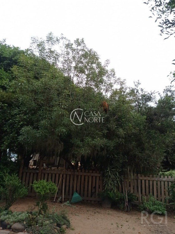 Sítio à venda , 580000m², Avenida do Lami no bairro Boa Vista do Sul em Porto Alegre