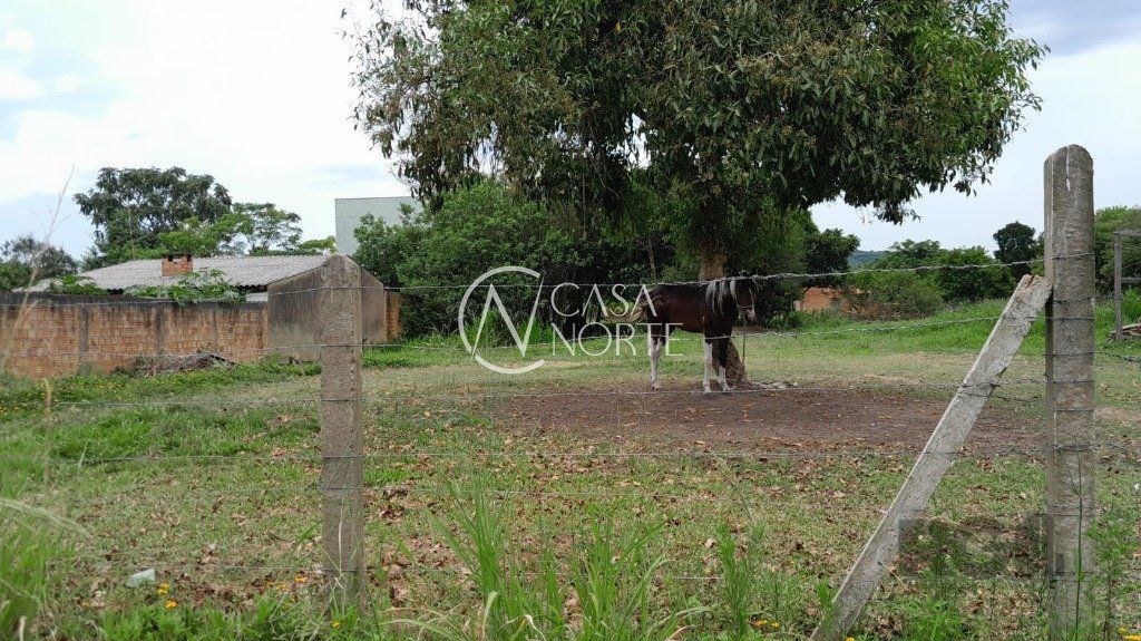 Terreno à venda  com 1000m², Rua Oito Mil e Dezessete no bairro Lageado em Porto Alegre