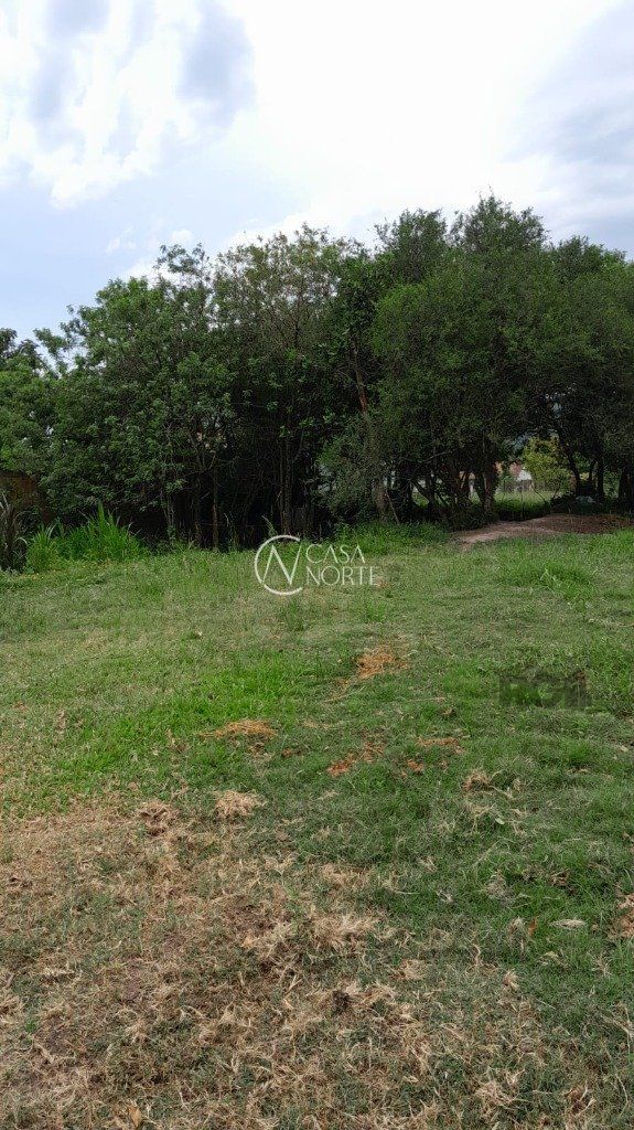 Terreno à venda  com 1000m², Rua Oito Mil e Dezessete no bairro Lageado em Porto Alegre