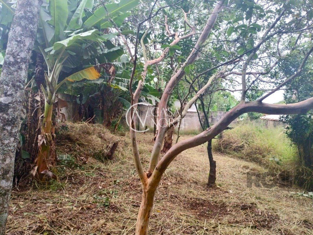 Terreno à venda  com 440m², Rua Doutor Cecílio Monza no bairro Belém Novo em Porto Alegre
