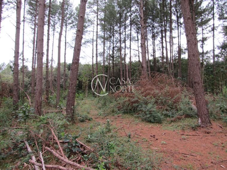 Campo à venda  com 53851m², Beco da Paixão no bairro Lomba do Pinheiro em Porto Alegre