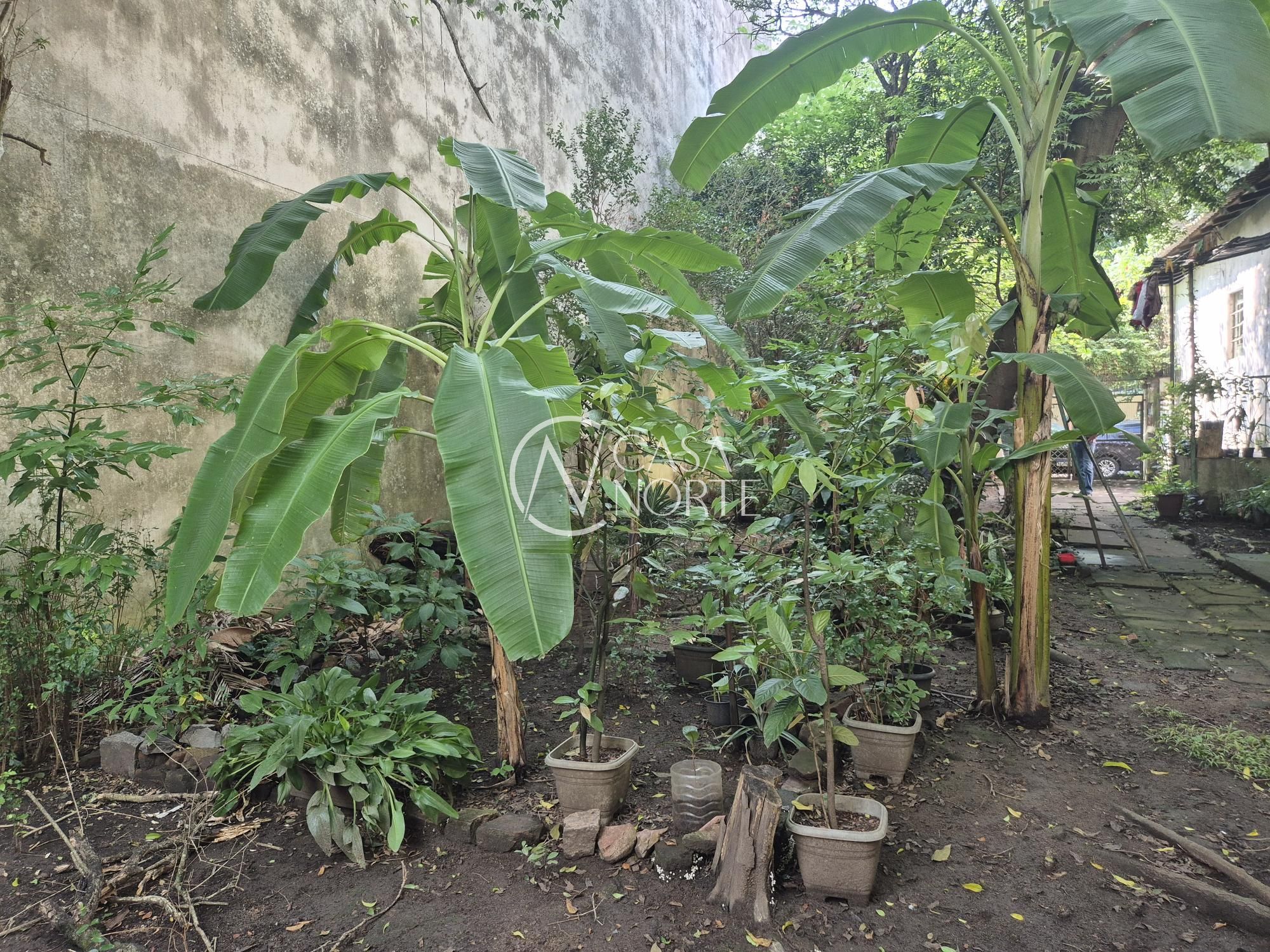 Terreno à venda  com 303m², Rua Jacinto Gomes no bairro Santana em Porto Alegre
