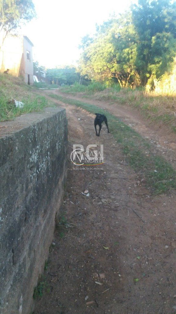 Terreno à venda  com 1652m², Rua Taveira Junior no bairro Nonoai em Porto Alegre