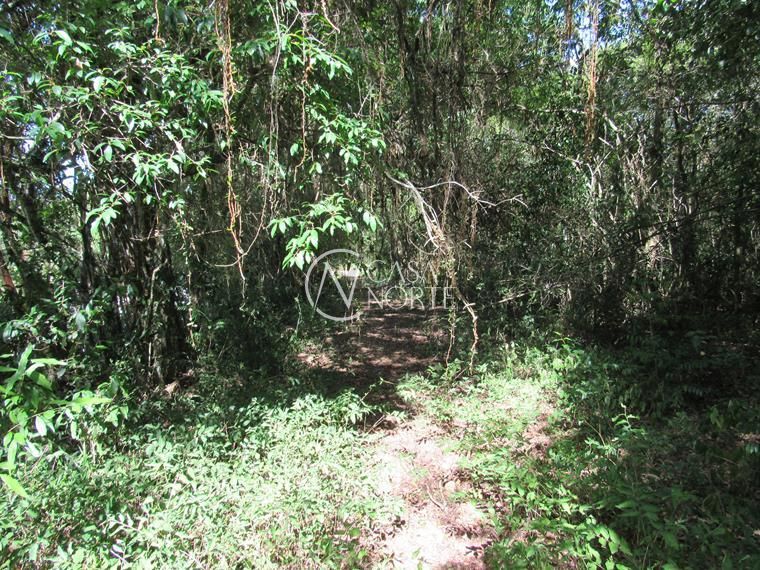 Campo à venda  com 53851m², Beco da Paixão no bairro Lomba do Pinheiro em Porto Alegre