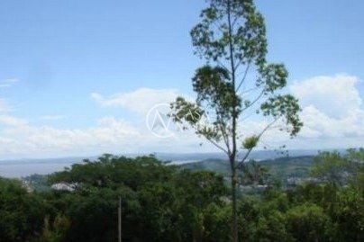 Terreno à venda  com 10000m², Rua Amapá no bairro Vila Nova em Porto Alegre