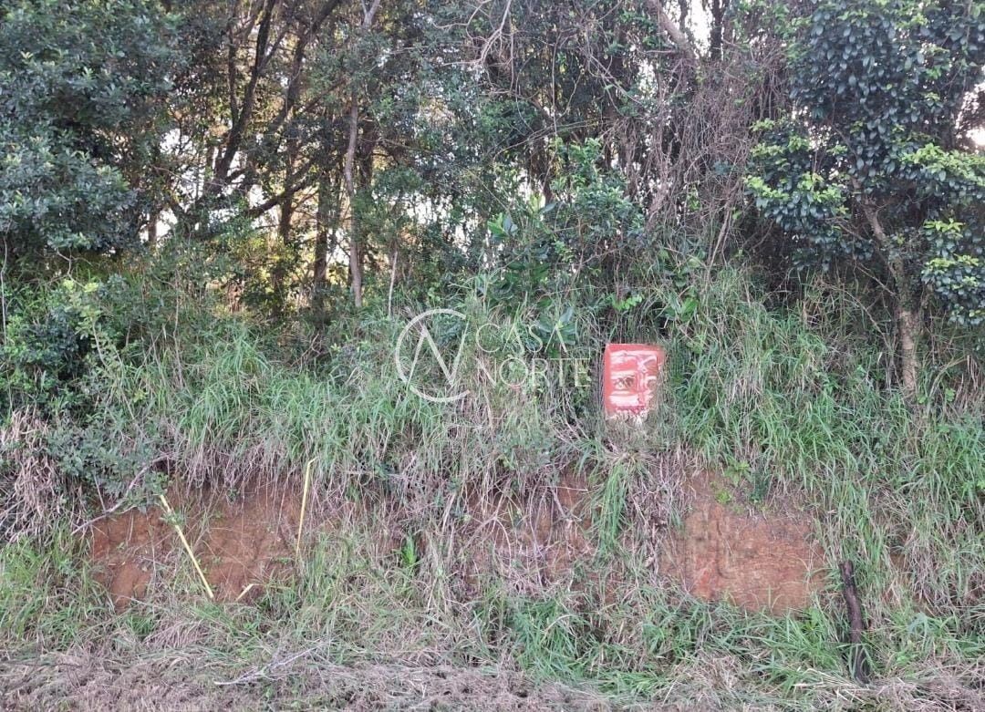 Área Rural à venda , 10600m², Estrada das Quirinas no bairro Lageado em Porto Alegre