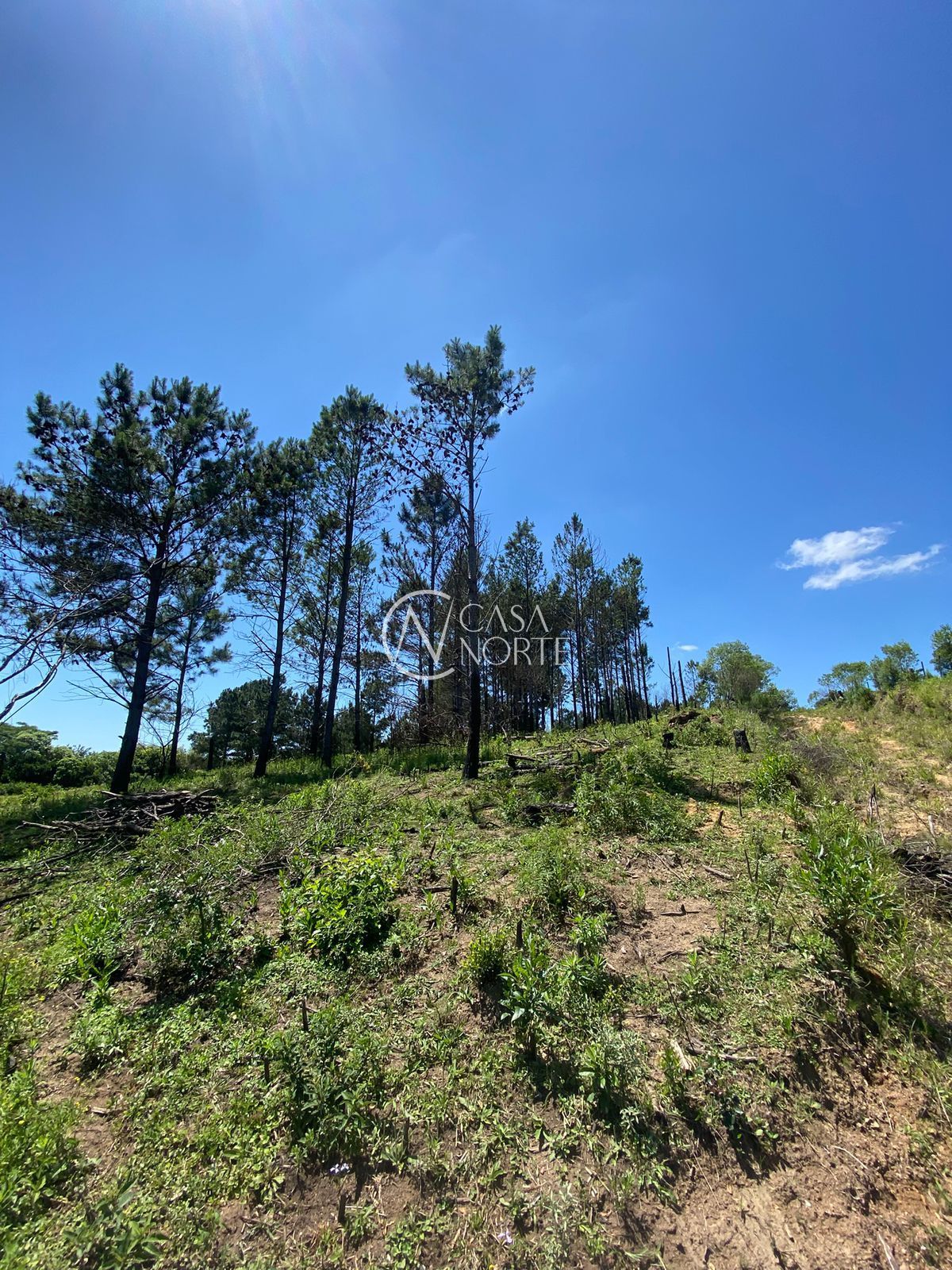 Área Rural à venda , 400m², Estrada São Caetano no bairro Lami em Porto Alegre