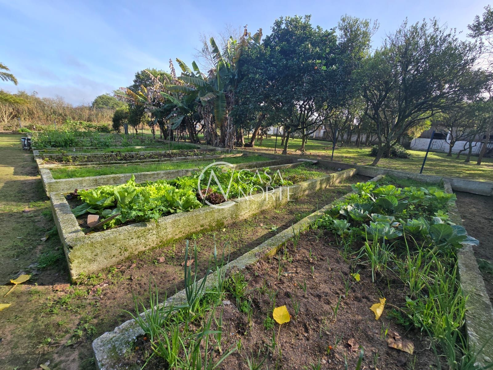 Sítio à venda com 3 quartos, 130m², 1 suíte, 6 vagas, Estrada Barro Vermelho no bairro Restinga em Porto Alegre