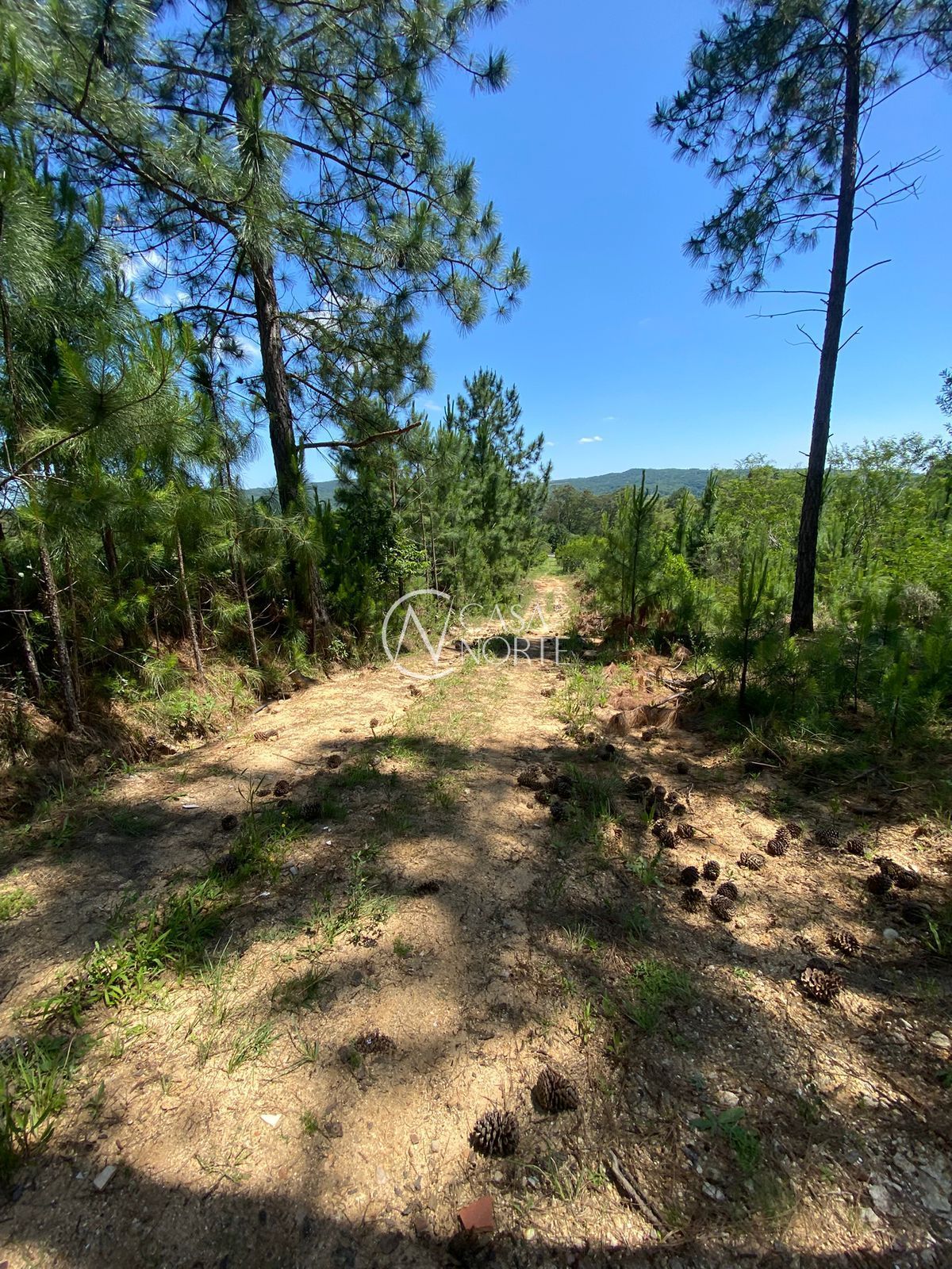 Área Rural à venda , 400m², Estrada São Caetano no bairro Lami em Porto Alegre