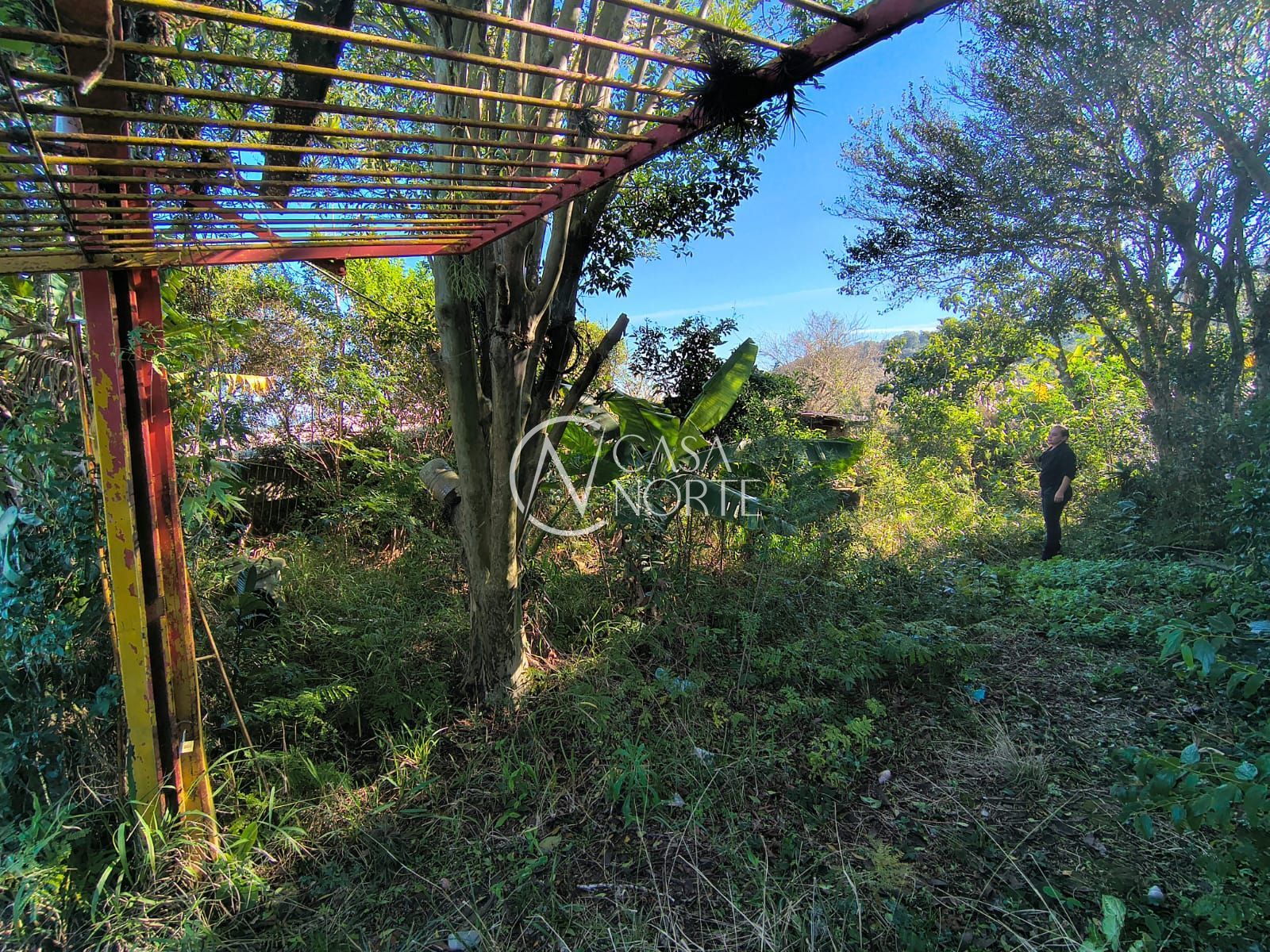 Terreno à venda  com 700m², Estrada das Furnas no bairro Vila Nova em Porto Alegre