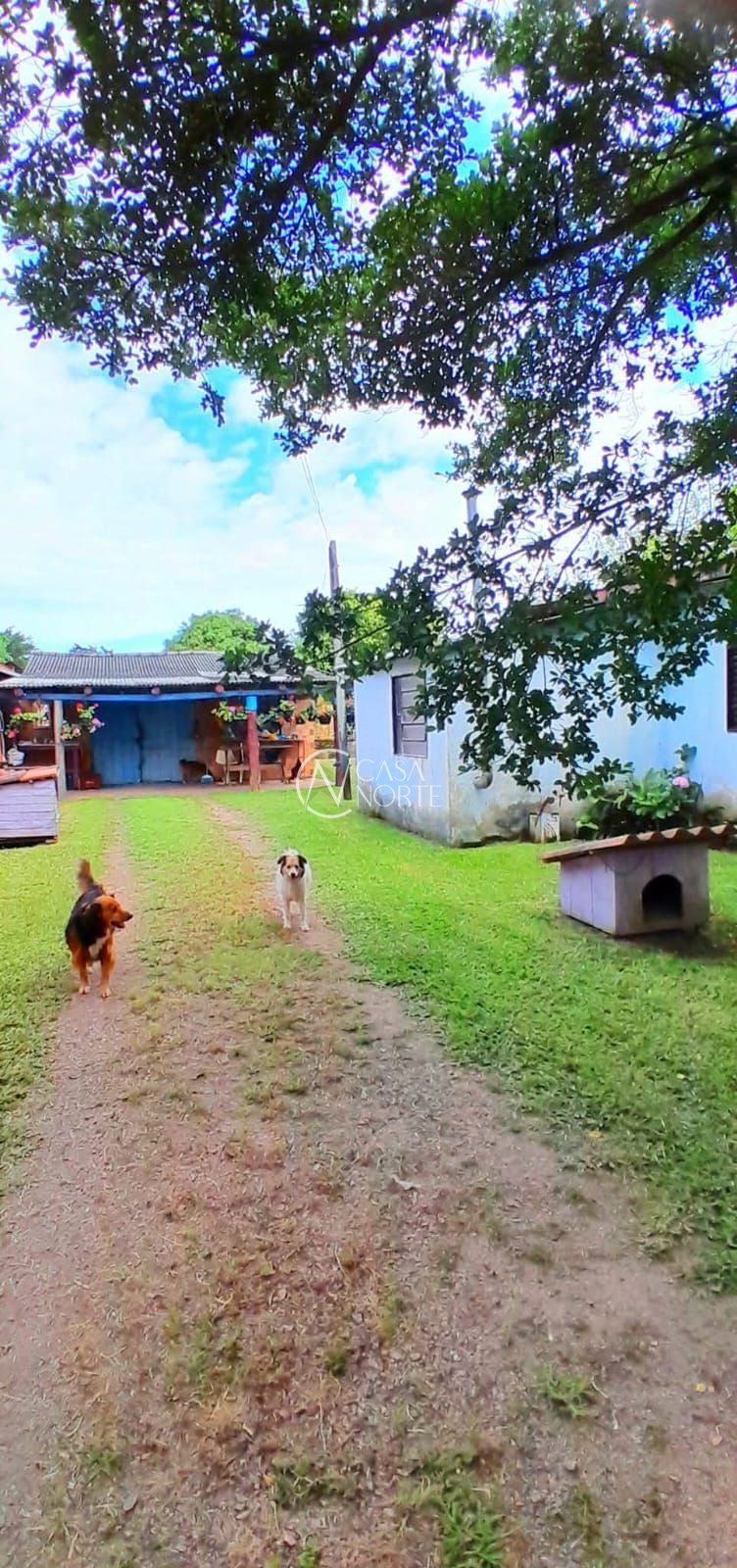 Terreno à venda  com 1500m², Rua Santa Mônica no bairro Ponta Grossa em Porto Alegre