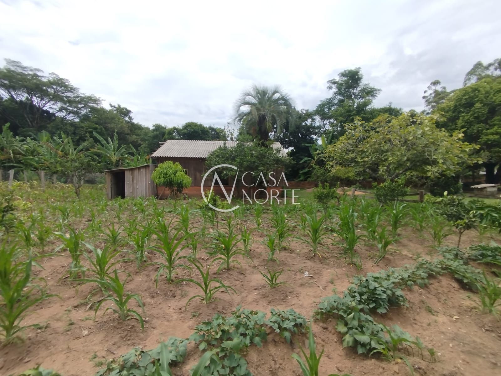 Chácara à venda com 3 quartos com 3853m², 1 suíte, 3 vagas, Rua Dona Mariana no bairro Restinga em Porto Alegre