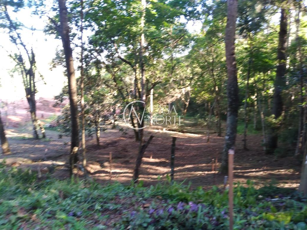 Terreno à venda  com 3800m², Estrada Maria Altina no bairro Hípica em Porto Alegre
