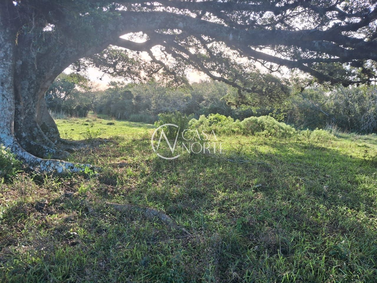 Área Rural à venda , 70000m², Rua Antônio Barata no bairro Extrema em Porto Alegre