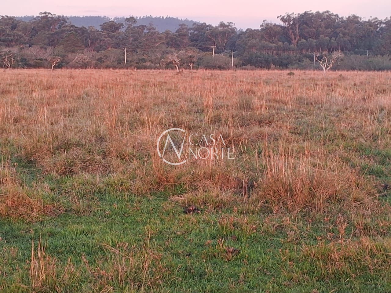 Área Rural à venda , 70000m², Rua Antônio Barata no bairro Extrema em Porto Alegre