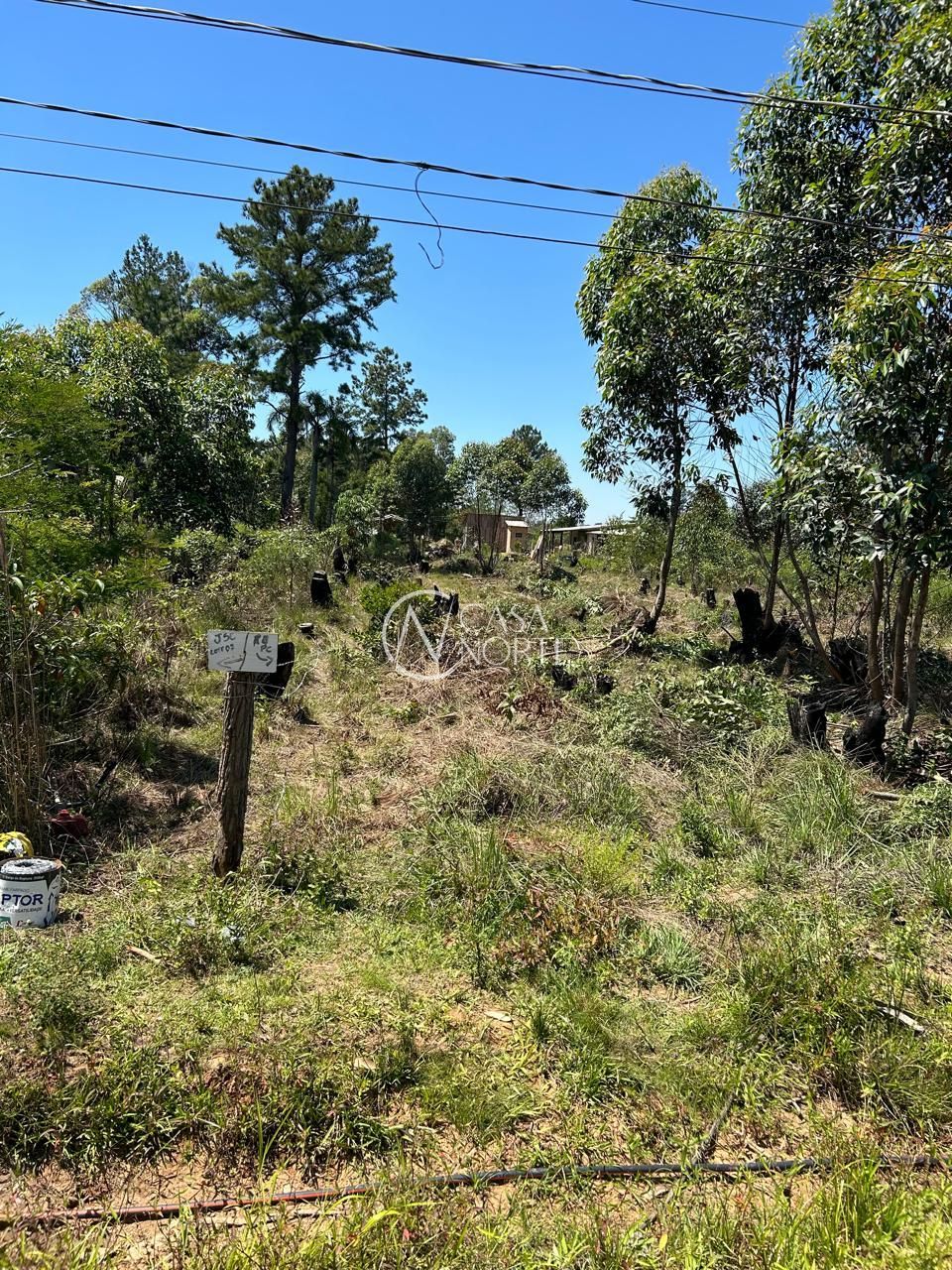 Terreno à venda  com 616m², Avenida Edgar Pires de Castro no bairro Lageado em Porto Alegre