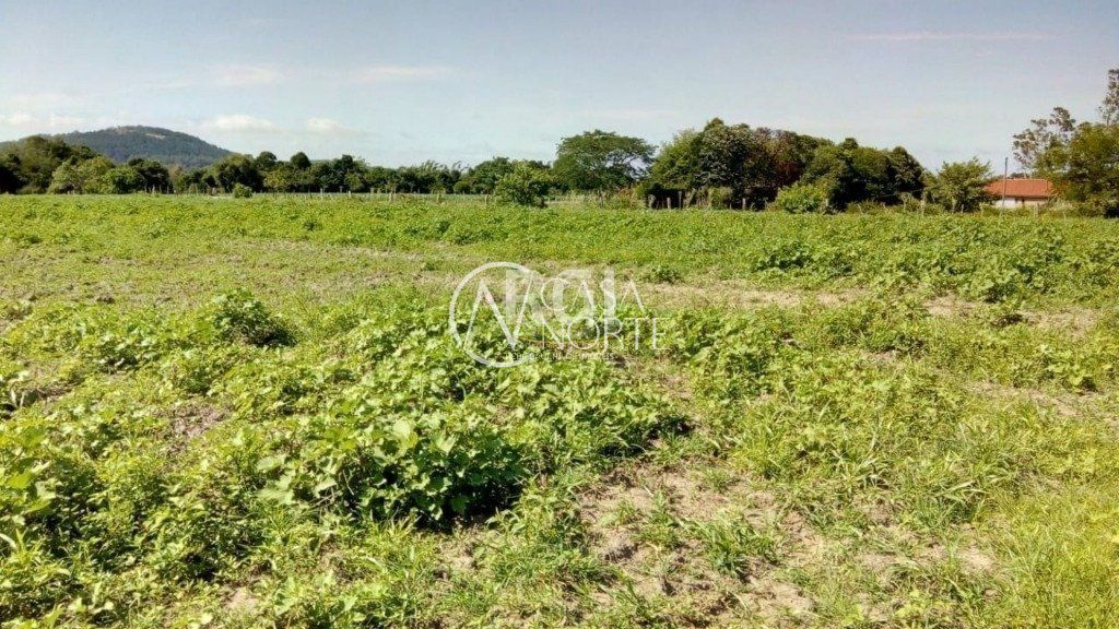 Terreno à venda  com 20060m², Estrada Armando Inácio da Silveira no bairro Extrema em Porto Alegre