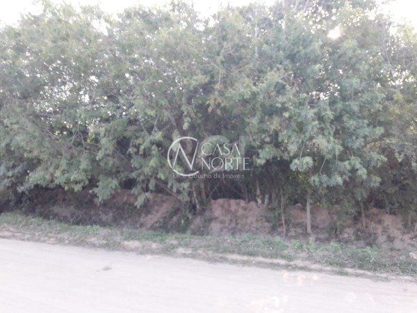 Terreno à venda , 1000m², Rua A, Loteamento Jardim Floresta, Quadra Q, Lote 2. no bairro Lami em Porto Alegre