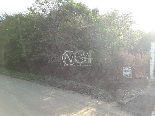 Terreno à venda , 1000m², Rua A, Loteamento Jardim Floresta, Quadra Q, Lote 2. no bairro Lami em Porto Alegre