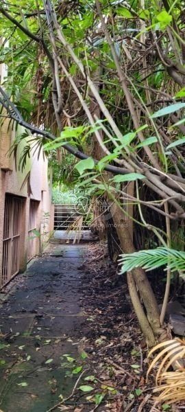 Terreno à venda  com 696m², Rua Silveiro no bairro Menino Deus em Porto Alegre